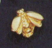 Baby Bienen Pin 12 Stück